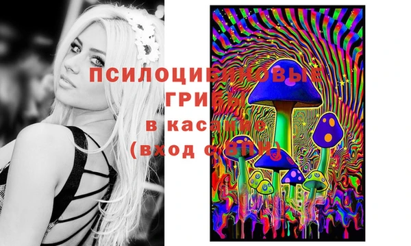 бошки Аркадак
